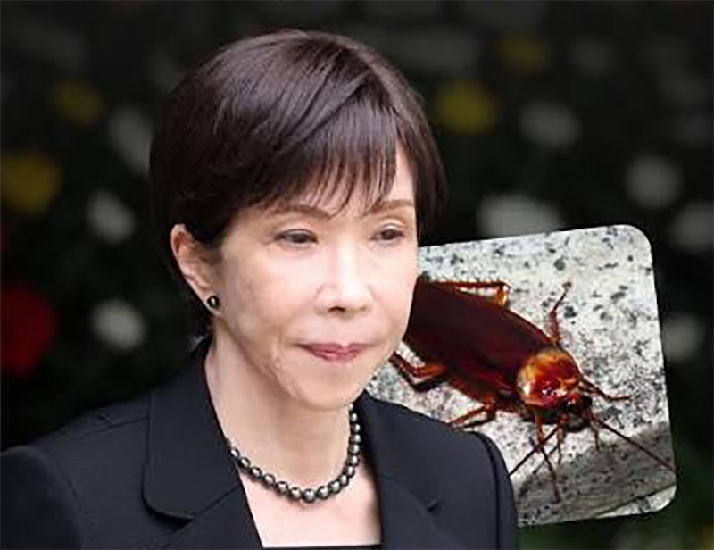 Japan PM Sanae Takaichi Left Feeling ‘Lonely’ After Staff Remove Residence Cockroach
